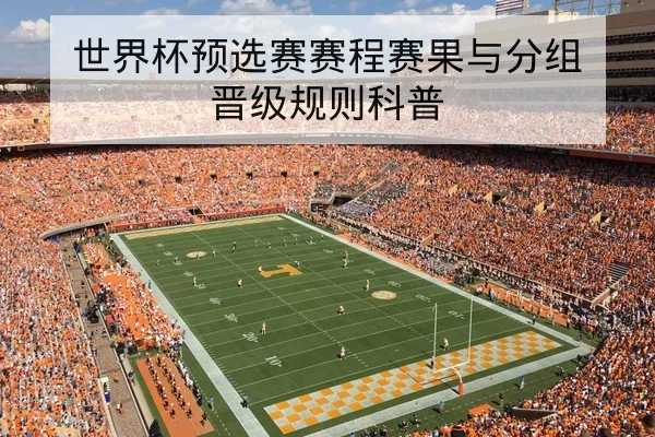CBA伤病名单更新与球员复出时间表